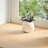  Prozorske klupčice 2 kom. Neobrađene 90x15x2 cm Masivno drvo hrast | shoptok.hr
