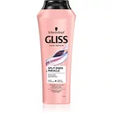 Gliss Split Ends Miracle regeneracijski šampon za razcepljene konice 250 ml