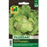 Ledenka "Grazer Krauthäuptel 2" (semenska tableta)