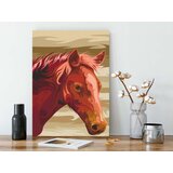  Slika za samostalno slikanje - Brown Horse 40x60 | shoptok.hr