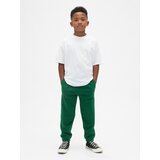 GAP Children's sweatpants with logo - Boys | Shoptok.si