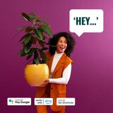 Wiz LED pametne žarulje u setu 2 kom E27, 9 W – | shoptok.hr