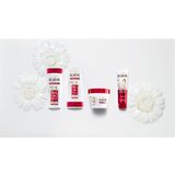 L´Oréal Paris elseve total repair 5 šampon za oštećenu i oslabljenu kosu 250 ml za žene | shoptok.hr