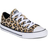 Converse Nizke superge Chuck Taylor All Star Kostanjeva Cene
