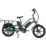 JOBOBIKE Električno tovorno kolo za družino Transer, senzor navora, 48V 13Ah dvojna baterija, nosilnost 200kg, zeleno, (5000009059) Cene