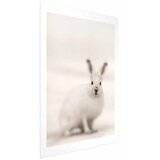  Plakat - Fearful Look 40x60 Bez okvira s margom | shoptok.hr