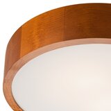  plafonska svetiljka 2xE27/60W/230V | Eponuda.com