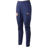 Puma Trenirka komplet AFC TRAINING PANTS Modra Cene