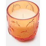 Sinsay Staklena mirisna svijeća Pumpkin Harvest | shoptok.hr