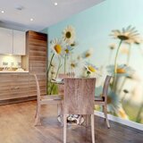  Tapeta - Daisies - spring meadow 350x270 | shoptok.hr