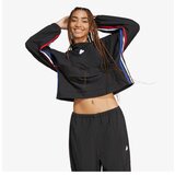 Adidas Express wvn hd | ePonuda.com