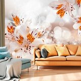  Tapeta - Lily of the Incas 300x210 Cijene