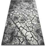 RugsX Preproge Preproga KARMEL Terra razpokana tla siva 160x220 cm Siva | Shoptok.si