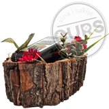  Kora Jakov S | ePonuda.com