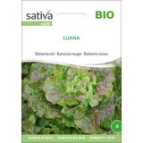 Sativa Bio Batavia rdeča "Luana" Cene