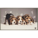  Otirač Digital pets 44x75 cm, sort | shoptok.hr