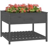  Sadilica s policom siva 111,5x111,5x81 cm od masivne borovine | shoptok.hr
