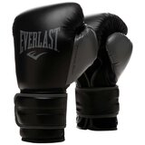 Everlast Boks rukavice Powerlock | Eponuda.com