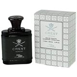 STYLE Muška toaletna voda Crest advent, EDT, 100 ml Cene