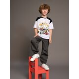 Sinsay majica kratkih rukava Hot Wheels za dječake 295BM-00X | shoptok.hr