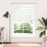 vidaXL Zebra senčilo bela 155x230 cm tkanina širina 150,9cm poliester | Shoptok.si