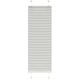 vidaXL Plisirana žaluzija svetlo siva 50x100 cm Širina tkanine 49,4 cm | Shoptok.si