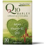 Spelta vita Q10 Barley 30 cps, Cene