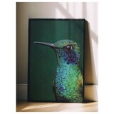 Wallxpert uramljena slika 115245, kolibri u zelenim i plavim tonovima na tamnozelenoj pozadini, 30 x 40 cm, crni ram | Eponuda.com