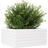  Vrtno cvetlično korito belo 50x50x23 cm trdna borovina | Shoptok.si