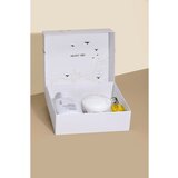 ALFAPARF MILANO Semi di Lino Diamond Holiday Kit darilni set za sijaj in mehkobo las | Shoptok.si