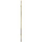 Stensko ogledalo zlato 100x45 cm | Shoptok.si