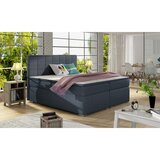ELTAP Boxspring krevet Alice udobnost i elegancija za svaku spavau sobu-180x200-Soro 76 | shoptok.hr