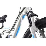 Capriolo MTB CTX240 24''/18HTgrafit-plavo 926404-14 | Eponuda.com
