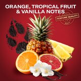 Old Spice Wolfthorn Gamer darilni set za moške | Shoptok.si