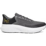 Under Armour Men's shoes Charged Rogue 5 | Shoptok.si