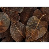  Foto tapeta - Nature in My Home - First Variant 150x105 | shoptok.hr