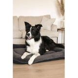  Sally Dog 55 x 75 - Antracitna Ležaljka za Pse | Eponuda.com