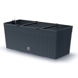 RATO Case cvetlično korito vključ. z zalivalnim sistemom, antracit - L 60 cm Cene
