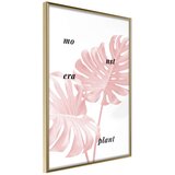  Poster - Pale Pink Monstera 20x30 Cijene