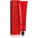 Schwarzkopf IGORA Royal boja za kosu nijansa 9-1 Extra Light Blonde Cendré 60 ml | shoptok.hr