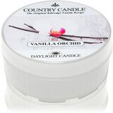 Country Candle Vanilla Orchid čajna sveča 42 g Cene