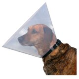 Olimp Sport Zaštitna kragna za psa 44-50 / 25 cm | ePonuda.com