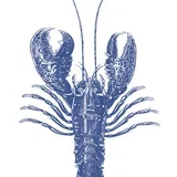 Lobster marine - 33 x 33 cm