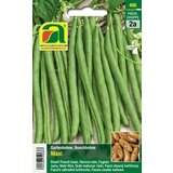AUSTROSAAT Navadni fižol "Maxi" | Shoptok.si