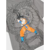 Sinsay Majica kratkih rukava DragonBall | shoptok.hr
