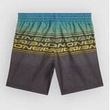 O'neill Logo Stripe Kids Boardshorts boys blue heritage oneill | Shoptok.si