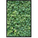  Slika - Thick Ivy (1 Part) Vertical 80x120 | shoptok.hr