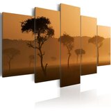  Slika - Fog over a savannah 200x100 | shoptok.hr