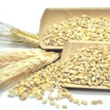  Ječam oljušten-geršla 1kg | ePonuda.com