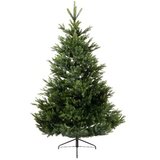 Everlands novogodišnja jelka Arlberg fir 180cm-127cm 68.4381